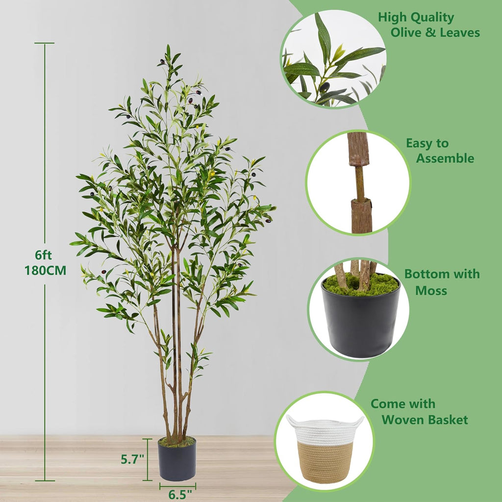 6ft (71”) Artificial Olive Tree, Tall Fake Olive Plant with Basket, Faux Olive Silk Tree for Mordern Indoor Home Livingroom Office Floor Corner Décor