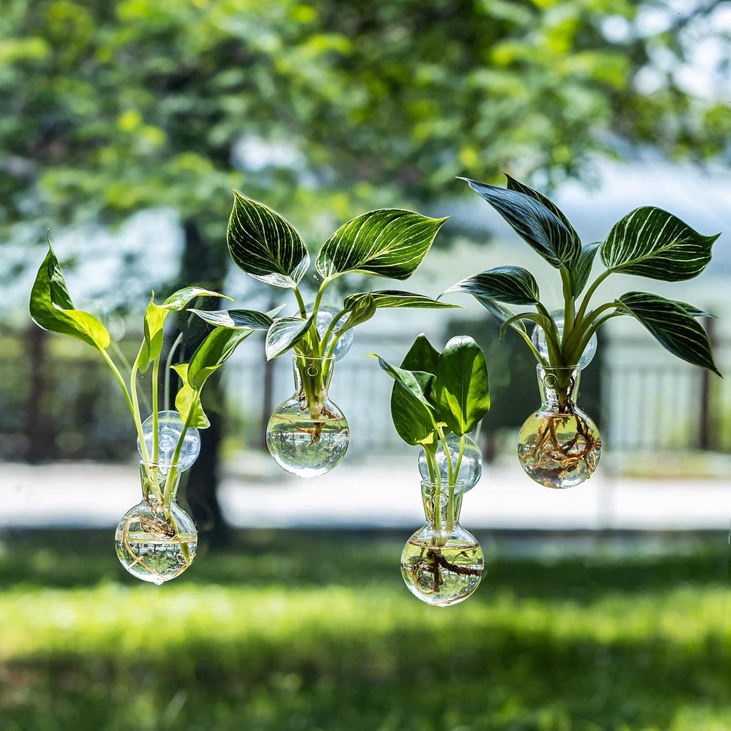 Window Propagation Stations, Bulb Vase with Suckion Cups Hooks, Easy to Install Window Hanging Planter, Glass Terrarium Planters for Water Plant Propagation & Rooting Cuttings (4)