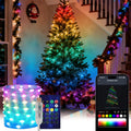 Smart Fairy String Light 66Ft, Color Changing String Lights w/Remote & App Control, Multicolor DIY Dynamic RGB-IC Twinkle Light for Bedroom, Christmas, Party, Wedding Indoor Hanging Decor