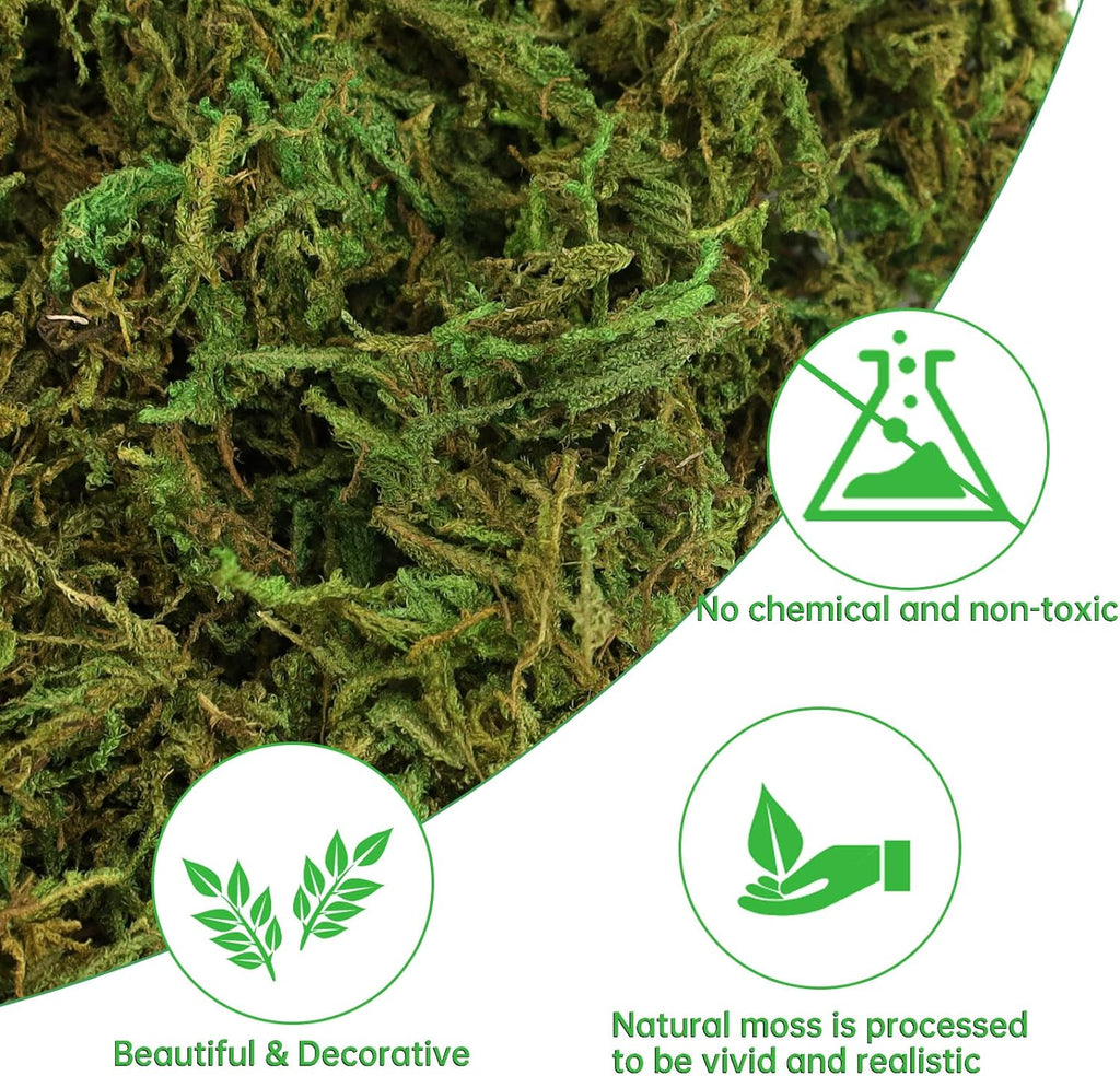 YUNVI 10.5 OZ Large Capacity Artificial Moss for Potted Plants,Natural Fake Moss Grass for Plants Indoor,Craft and Greenery Bulk for Hamsters(Fresh Green)