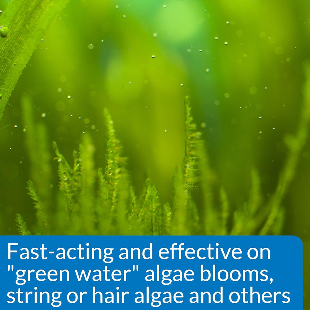 API ALGAEFIX Algae Control 1.25-Ounce Bottle