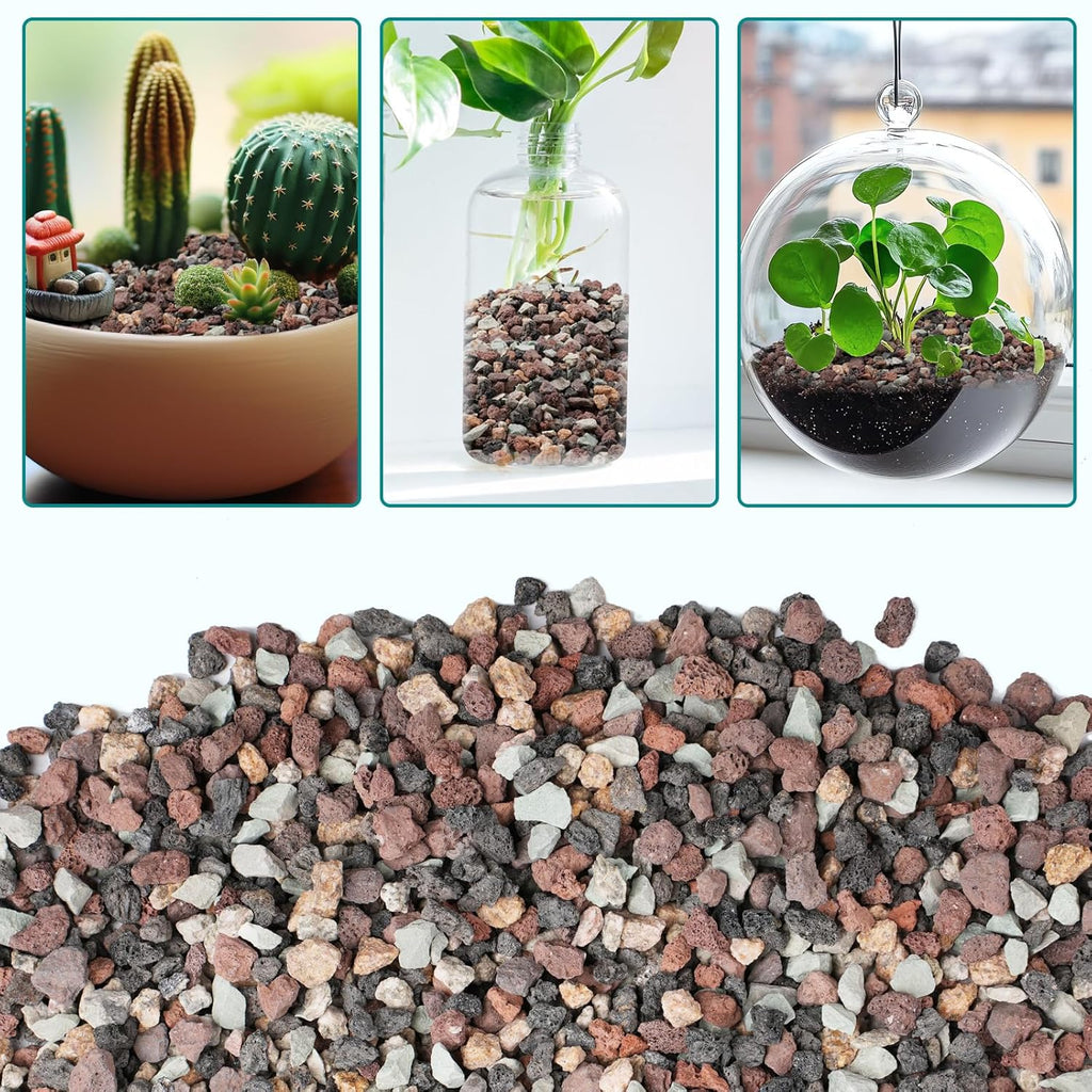 2.5lbs Terrarium Rocks for Pots Indoor, Succulent, Cactus, Bamboo, Bonsai Tree, 1/5 Inch Rocks for Planters Drainage, Mixed Color Small Lava Rocks for Top-Dressing