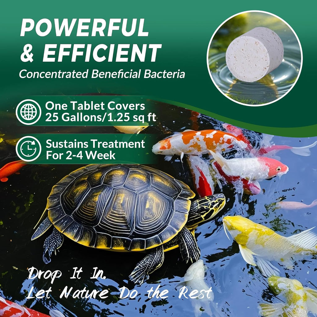 Muck Clear – Natural Pond Sludge Treatment, 2 LB for Ponds, Fountains & Bird Baths, Beneficial Bacteria & Enzymes, Chemical-Free & Safe for Fish, Pets & Wildlife