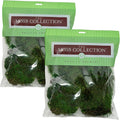 Preserved Mood Moss - Premium Decorative Moss for Crafts, Home Décor, Art, Design & DIY Projects - Real Moss- Non-Toxic - USA-Made- Natural Green, Medium 2-Pack