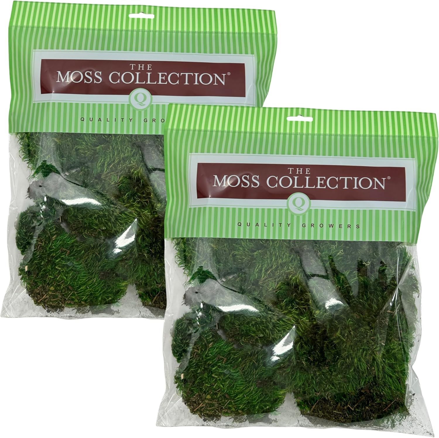 Preserved Mood Moss - Premium Decorative Moss for Crafts, Home Décor, Art, Design & DIY Projects - Real Moss- Non-Toxic - USA-Made- Natural Green, Medium 2-Pack