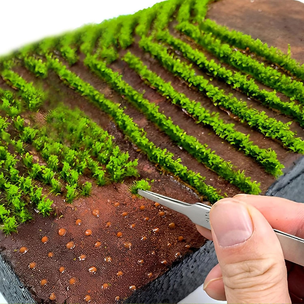 Warmtree 5 Pcs Static Grass Tuft Model Grass Tufts Railway Artificial Grass Miniature War Gaming Terrain DIY Model Railroad Scenery War Gaming Scenery (Light Green bar)
