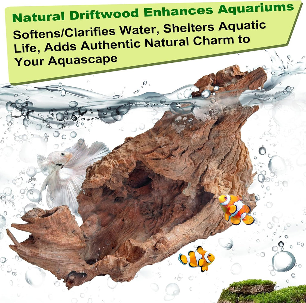 Natural Driftwood for Aquarium Decor,Reptile Habitat&Home DIY Decor,Naturally Unique Shapes Weathered Wood,Easy to Use (XL-(12-14 Inch/3.5-4.2 Lbs)-Pack of 1)