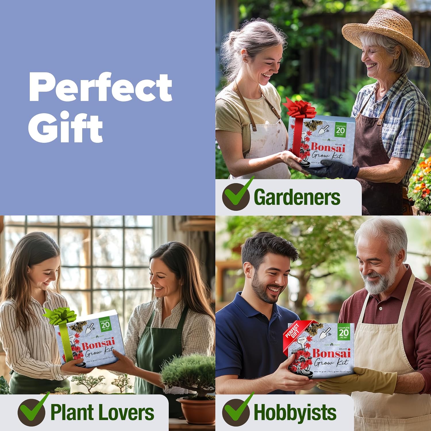 HOME GROWN Bonsai Tree Kit – Premium Ceramic Starter Set with 4 Bonsai Varieties – Easy Indoor Gardening Gift for Men & Women – Unique Plant Kit for Beginners & Nature Lovers