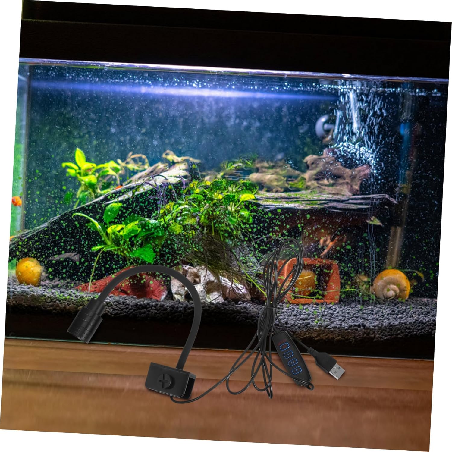 BESPORTBLE Dimmable Mini Aquarium LED Light USB Powered Fish Tank Lamp with Adjustable Focus Bright White Warm Yellow Lighting for Vibrant Aquarium Decorations and Efficient Energy Saving