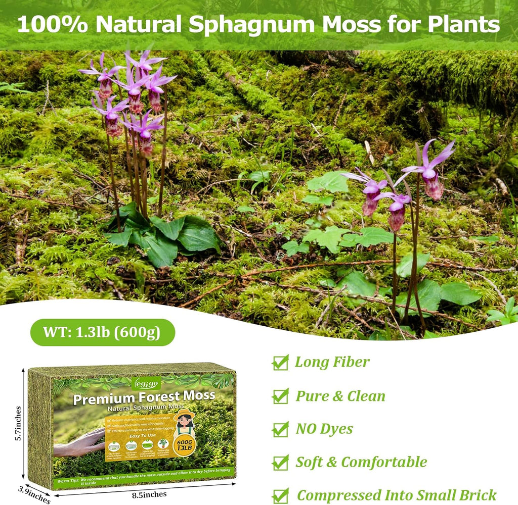 Legigo 1.3LBS Premium Forest Moss for Plants, 25 QT Natural Green Sphagnum Moss for Potted Plants, Dried Orchid Moss Potting Mix, Soft Real Moss Decorative for Houseplants Orchids Succulents Reptiles