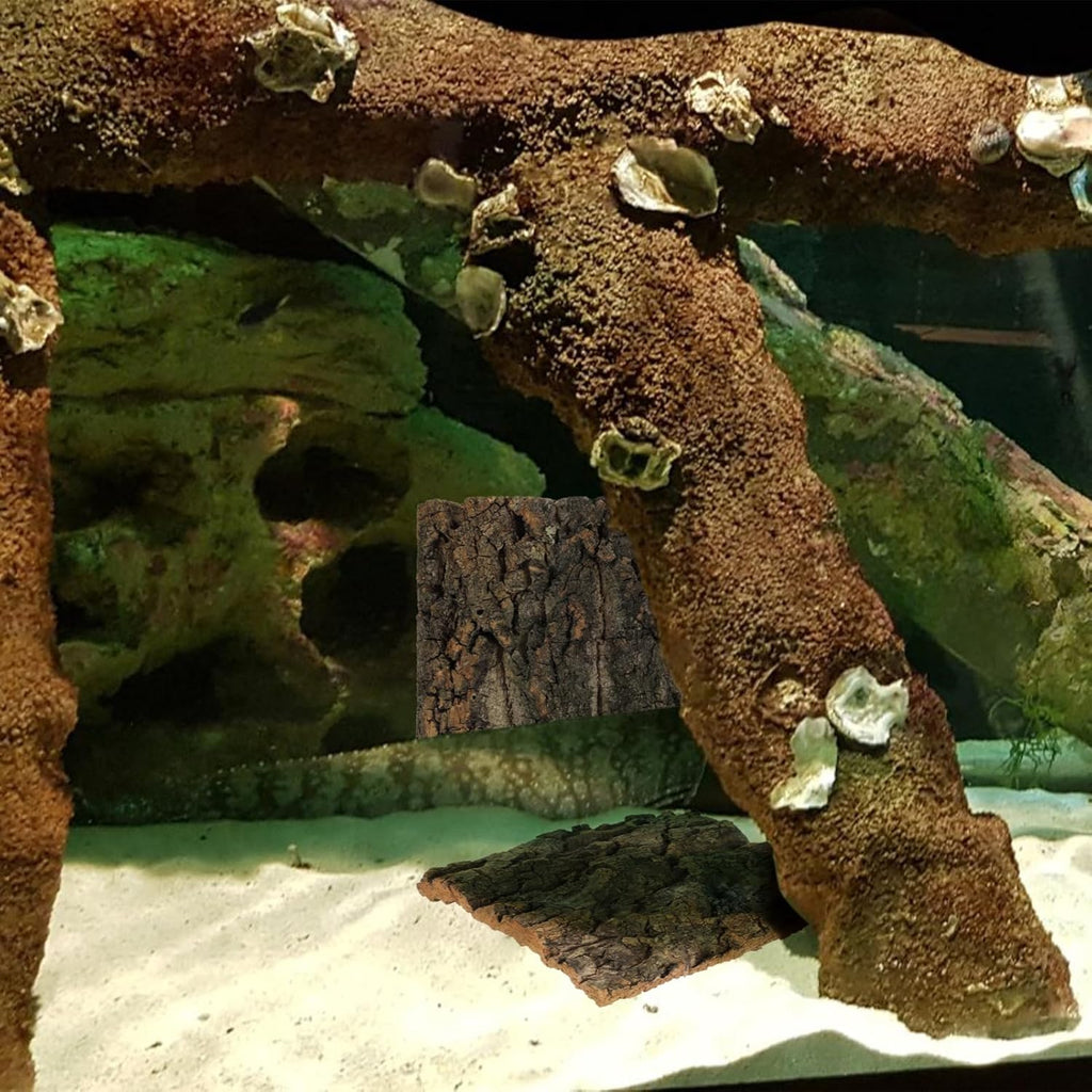 Kisangel 4 Pcs Cork Bark Aquarium Decor, Reptile Tank Background, Bearded Dragon Habitat Accessories, Easy Install, Eco-Friendly, 5.90 X 5.90 X 0.78 Inch
