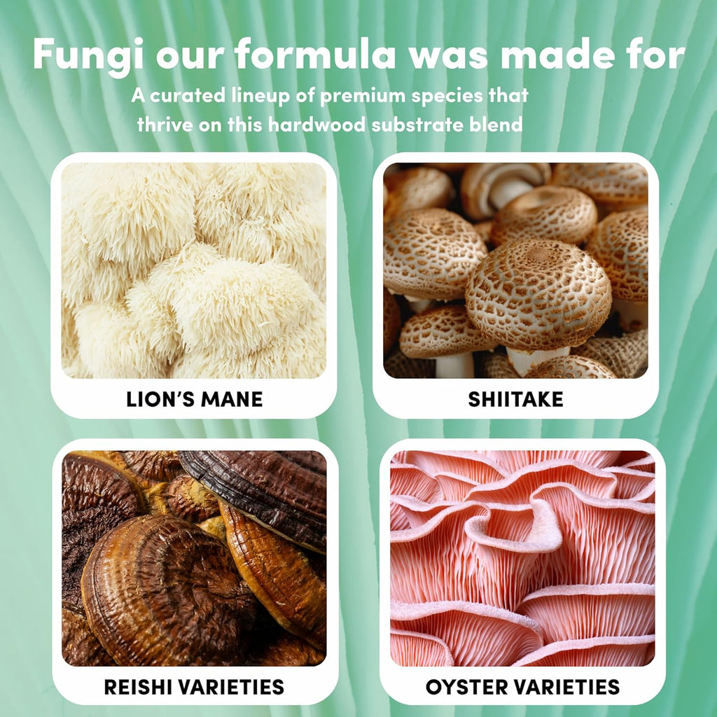 Mycelium Masters Mix Substrate | 6LB Sterilized Blend of Oak & Soy | Pre-Hydrated Hardwood Substrate for Wood-Loving Mushrooms - Shiitake, Lion's Mane, Oyster | Ideal for Indoor Monotub & Bag Grows
