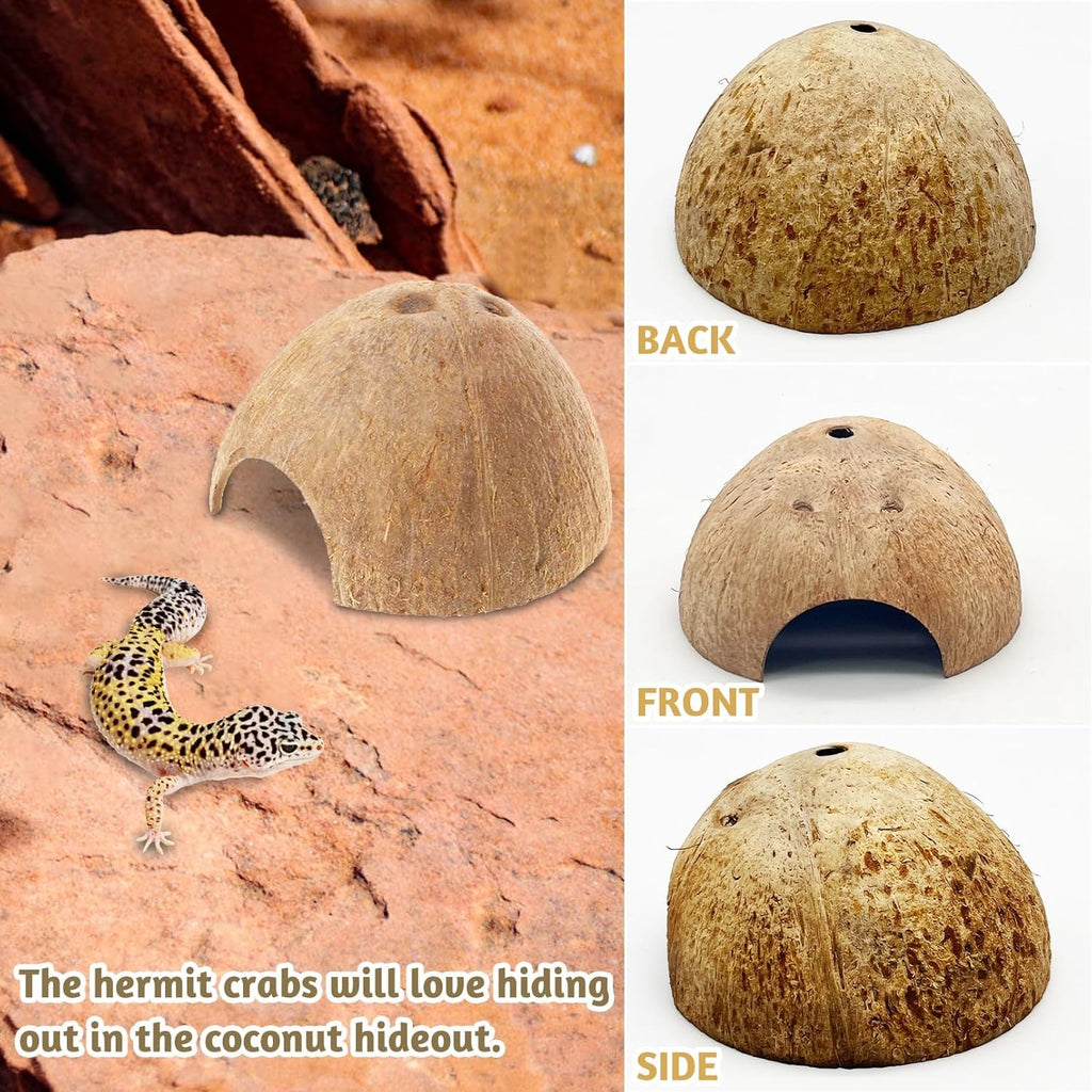 PINVNBY 6 PCS Natural Coconut Reptile Hideouts Lizard Coco Hut Hermit Crab Hut Aquarium Fish Hide Cave Spider Snail Climber Toys