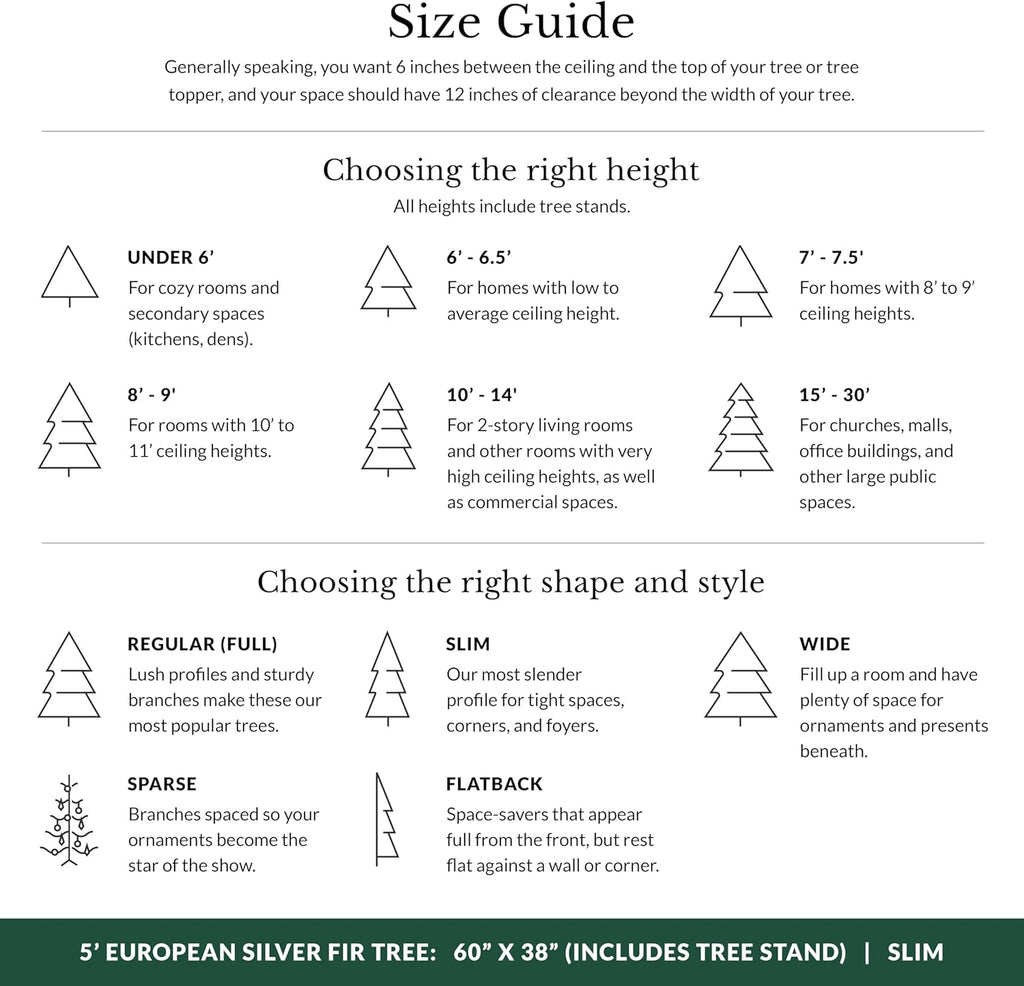 Balsam Hill European Silver Fir - Elegant Artificial Christmas Tree with True Needle Foliage Available Unlit or with LED Clear Lights, Unlit, 5'