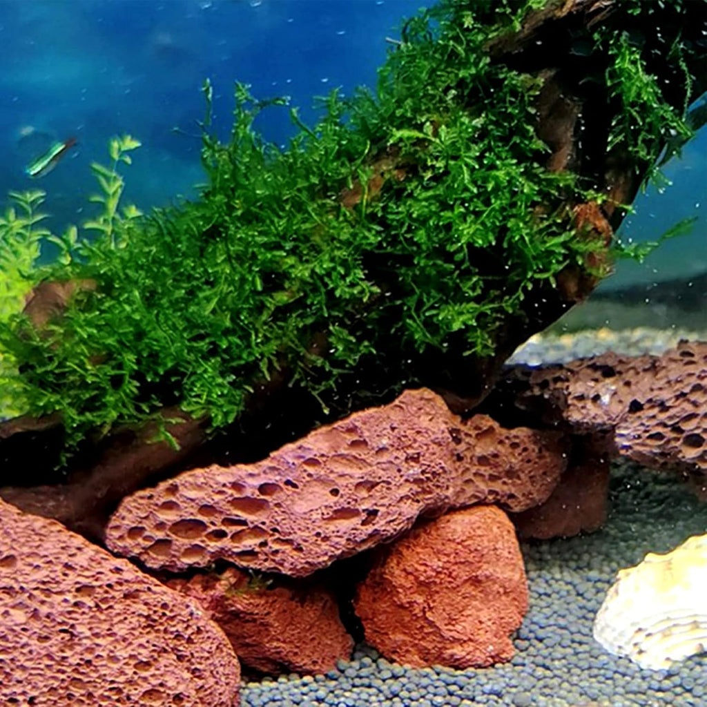 Tfwadmx Aquarium Red Lava Rock 10 Pack Fish Tank Volcanic Pumice Stones for Betta Fish Shrimp (1.96''-3.14'')