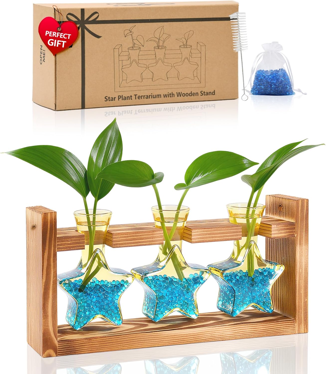 Nacome Star Glass Propagation Stations: Plant Terrarium with Wooden Stand Vase for Home Office Desk Decor, Unique Gifts for Plant Lovers Women Mom (Yellow)