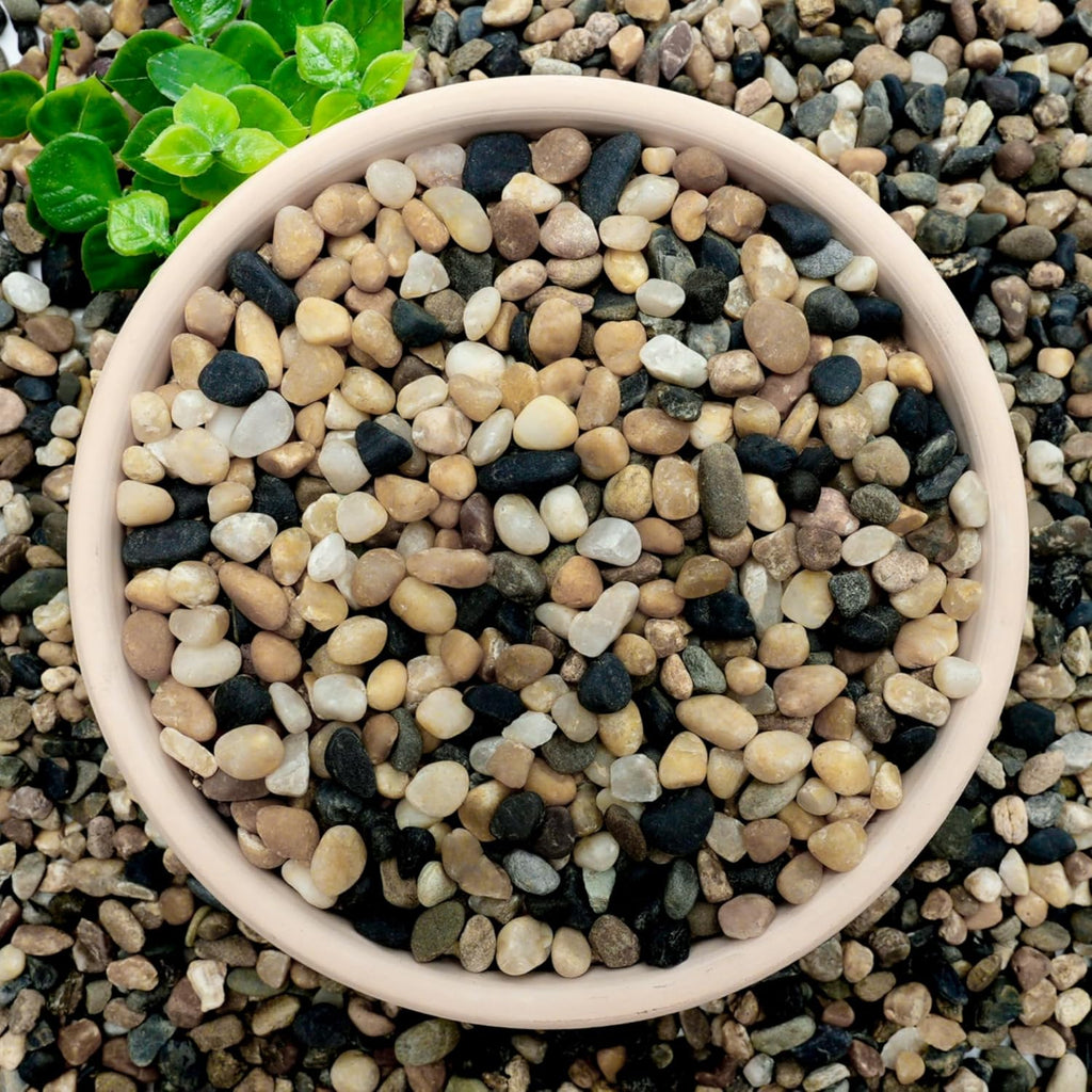 NUPICK 3 lb Aquarium Gravel, 1/4" Ph-Natural Pea Gravel for Fish Tank,Small River Rocks for Plants, Decorative Aquarium Pebbles for Vase Fillers, Landscaping, Succulent, Cactus, Terrarium, Bird Bath