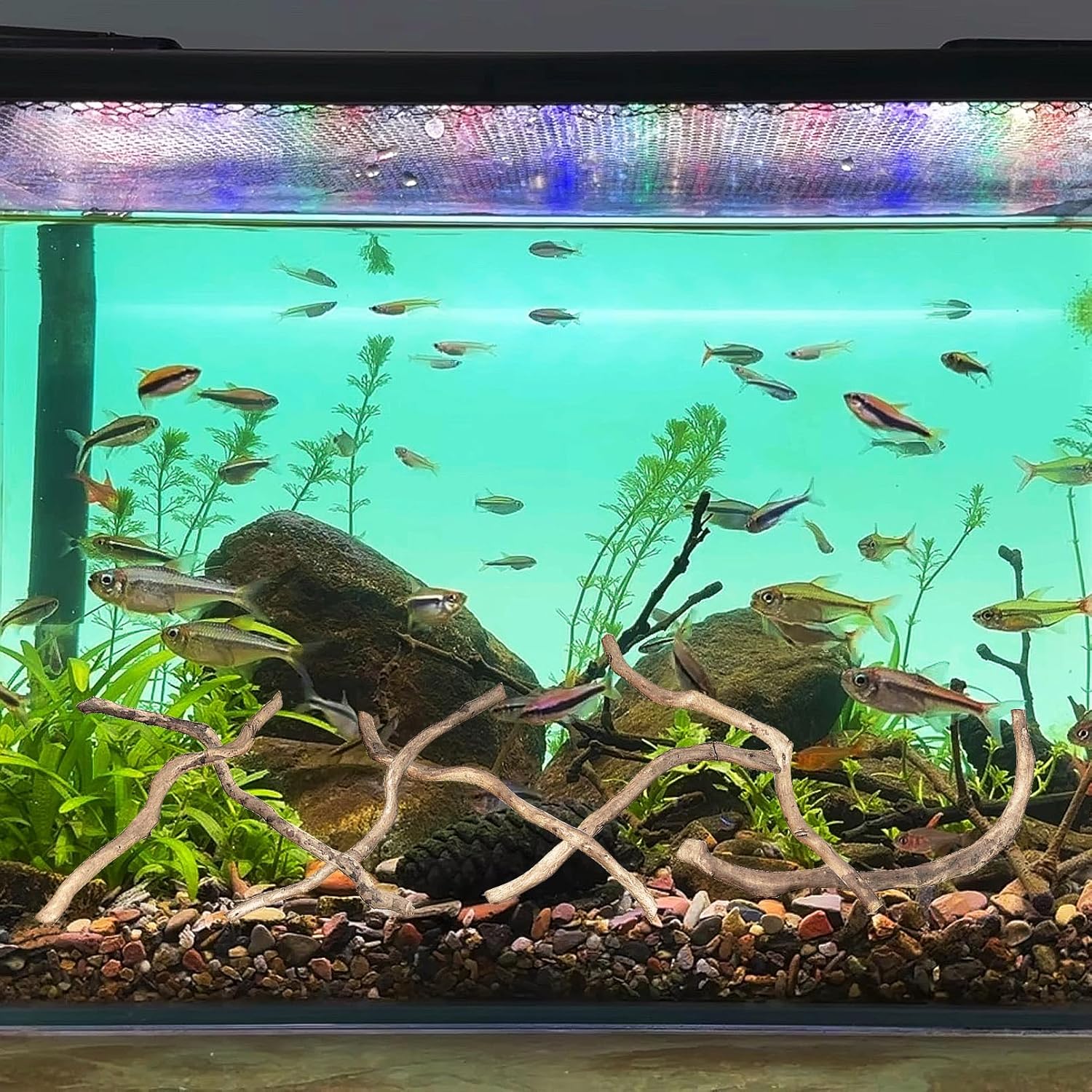 Hamiledyi Natural Driftwood for Aquarium Decor - Red Moor Wood 10"-15" Long Assorted Shapes (400g) Safe Branches for Fish Tank & Reptile Habitat - Natural Aquarium Wood Decorations (Medium Branches)