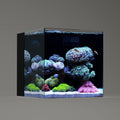 LANDEN 35C 7.2 Gallon Ultra Clear All Glass Rimless Low Iron Aquarium Tank with Rear Filtration Chamber(Pump Included) for Salt and Fresh Water.13.8''Wx13.8''Dx13.8''H 35cm Cube in 6mm Thickness