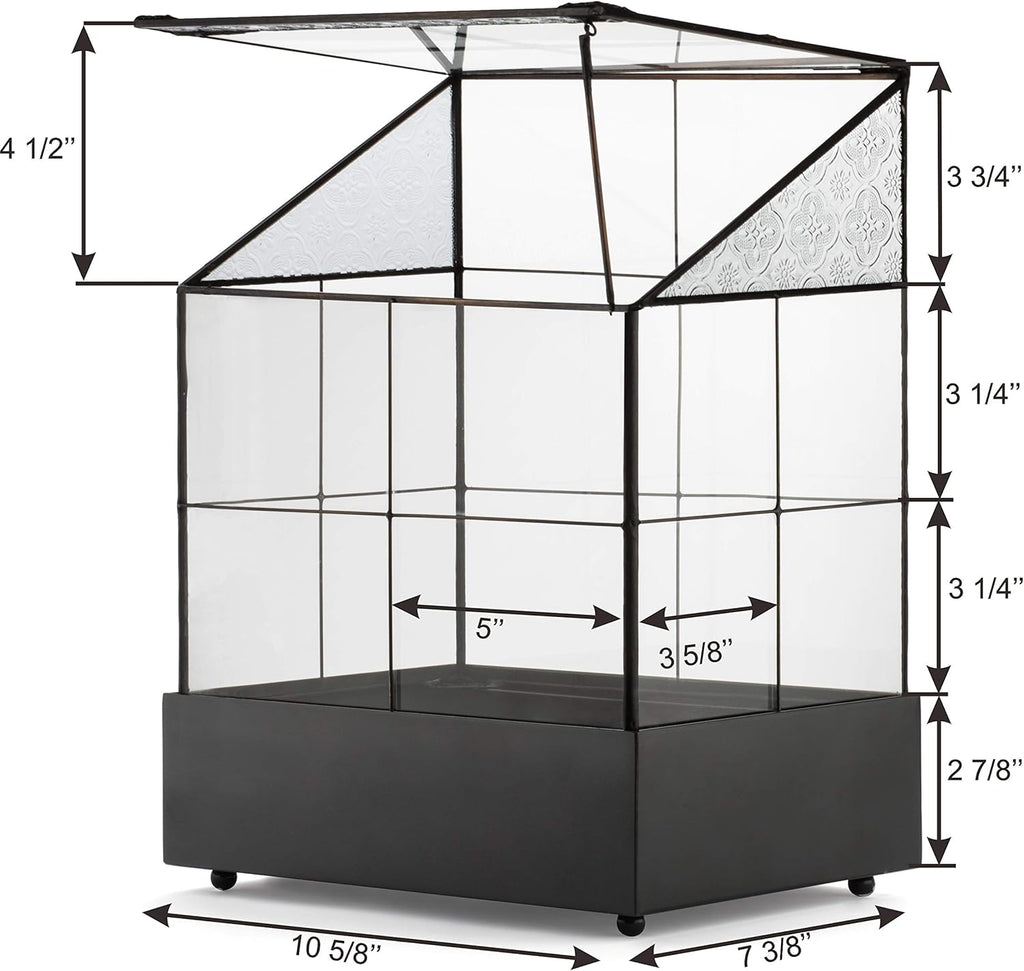 H Potter Glass Terrarium for Plants Wardian Case Succulent Planter War160