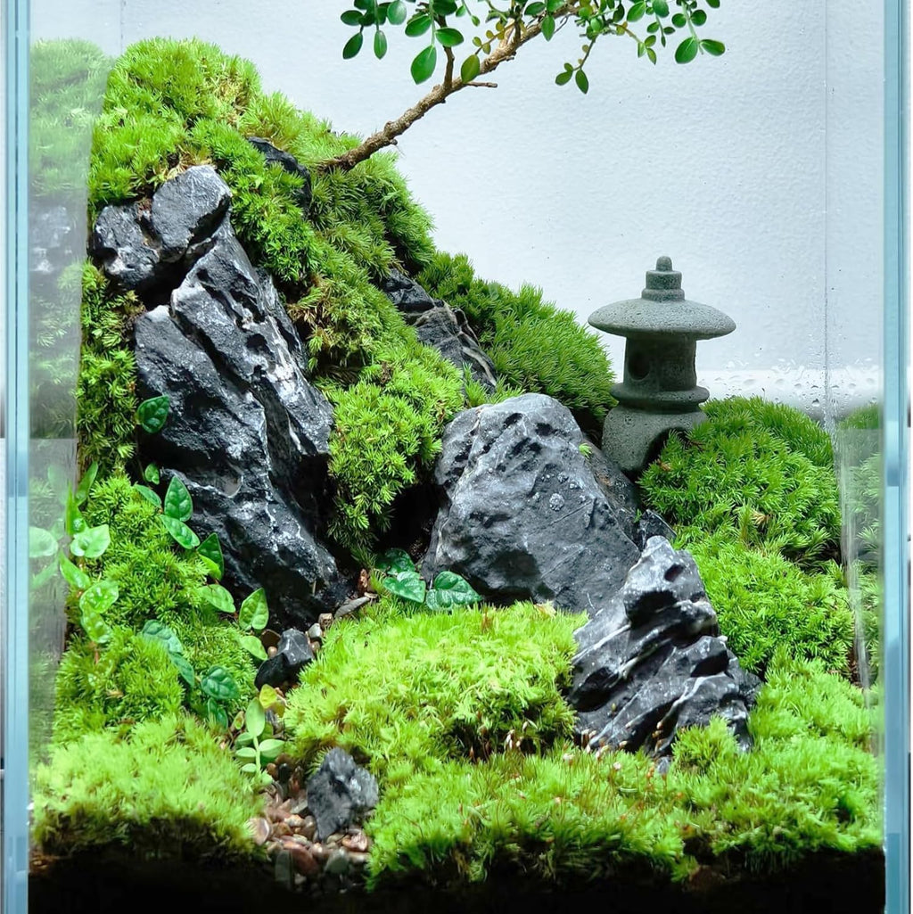 Natural Rocks Seiryu Stone 1-2 Inches Decorative Stones for Fairy Gardens,Miniature Landscaping,Bonsai,DIY Crafts, Aquariums & Reptile Terrariums-1lb