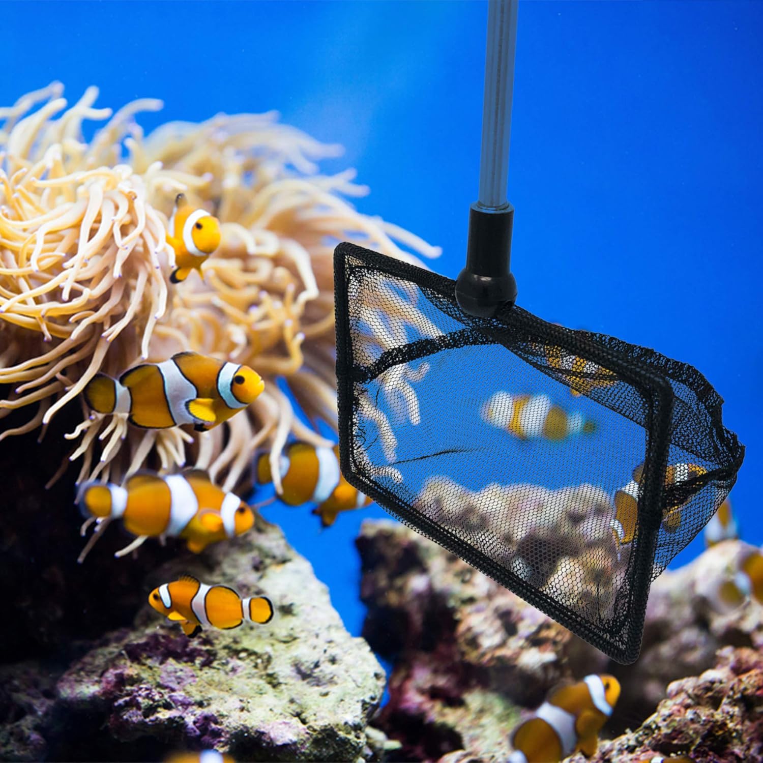 Long Handle Fine Net Fish Tank Net – Retractable 24 inches