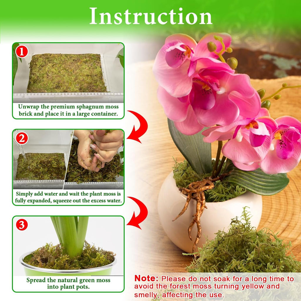 Halatool 6OZ Green Forest Moss Natural Sphagnum Moss for Plants Fluffy Orchid Moss for Orchids Repotting Dried Plant Moss for Potted Plants Indoor & Outdoor