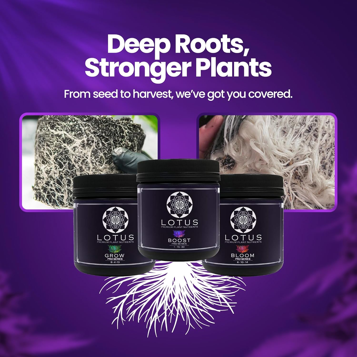 Lotus Nutrients Starter Kit (Bloom, Boost, and Grow) - Most Advanced Plant Nutrients and Bloom Booster - Powder Plant Fertilizer for Soil, Coco Coir, Hydroponics - Plant Food for Any Medium