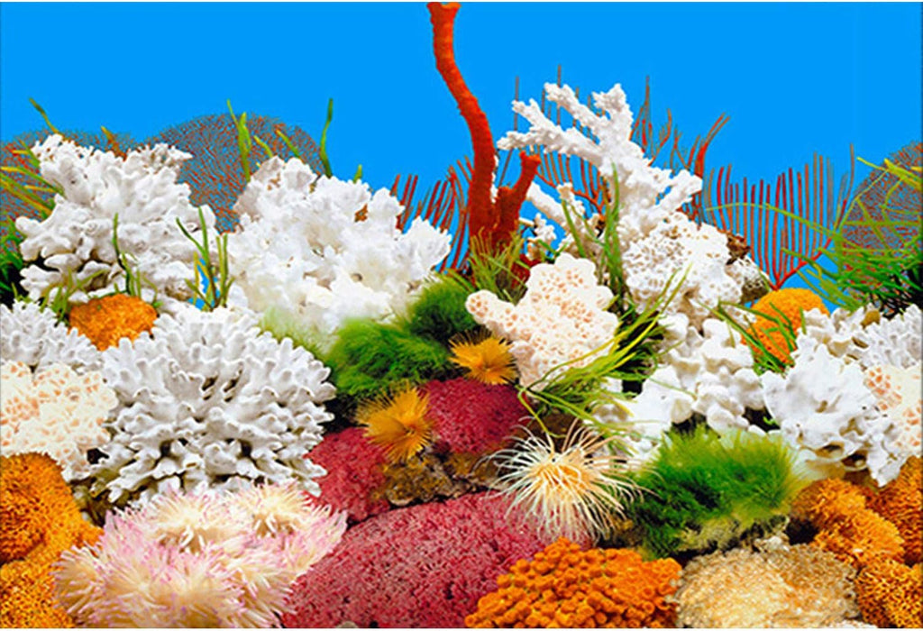 ELEBOX New 23" x 71" Fish Tank Background 2 Sided River Bed & Lake Background Aquarium