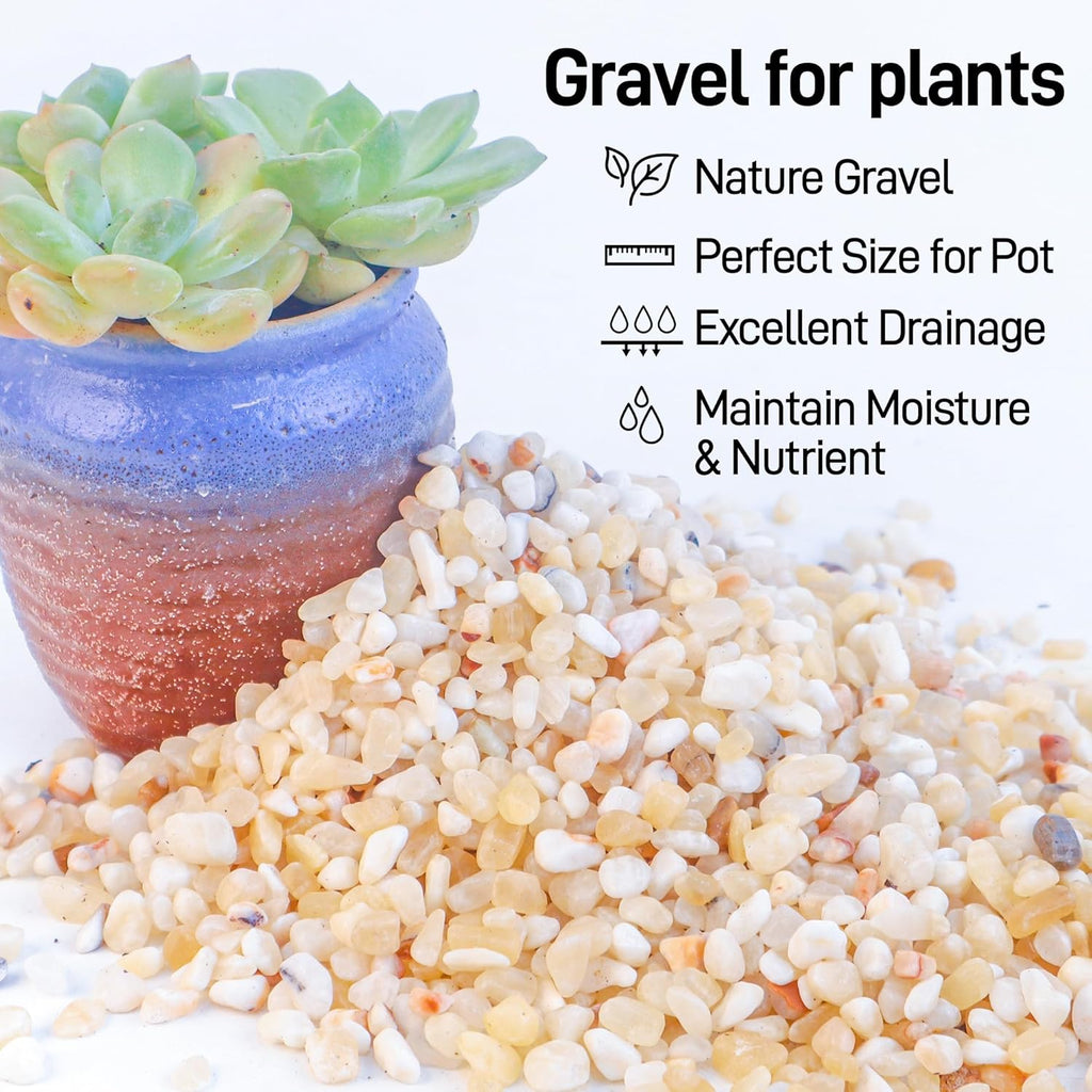 2.4lb Aquarium Gravel for Plants,1/5 Inch Natural Decorative River Rocks for Succulent and Cactus Landscaping, Natural Small Rocks for Fish Tanks, Vases & Terrariums