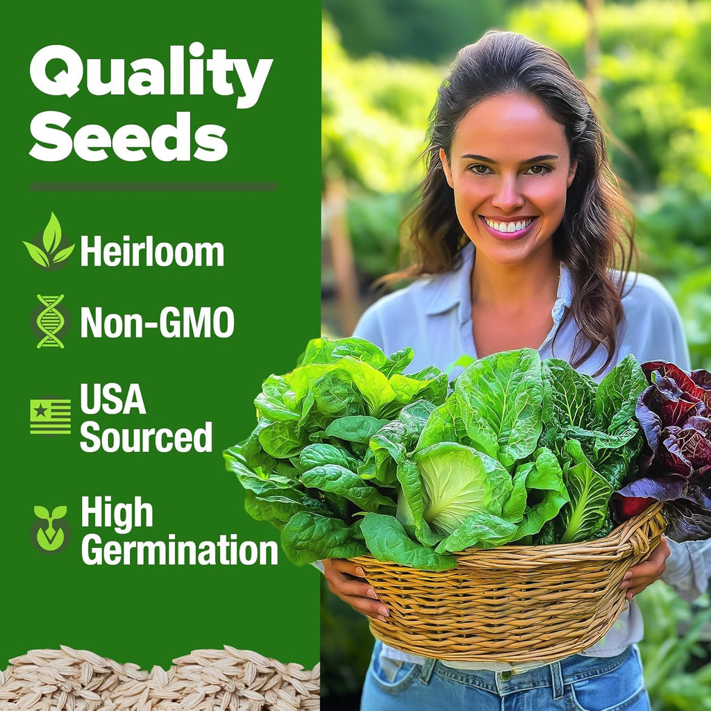 HOME GROWN 5 Lettuce Seed Pack – 3950 Heirloom Vegetable Seeds for Indoor, Outdoor, or Hydroponic Growing – Black Seeded Simpson, Red Romaine, Bibb, Buttercrunch, Iceberg Varieties (Lactuca Sativa)