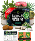 HOME GROWN Succulent & Cactus Seed Kit for Planting – [Enthusiasts Favorites] Premium Cactus & Succulent Starter Kit: 4 Planters, Drip Trays, Markers, Seeds Mix, Soil - DIY Gift Kits