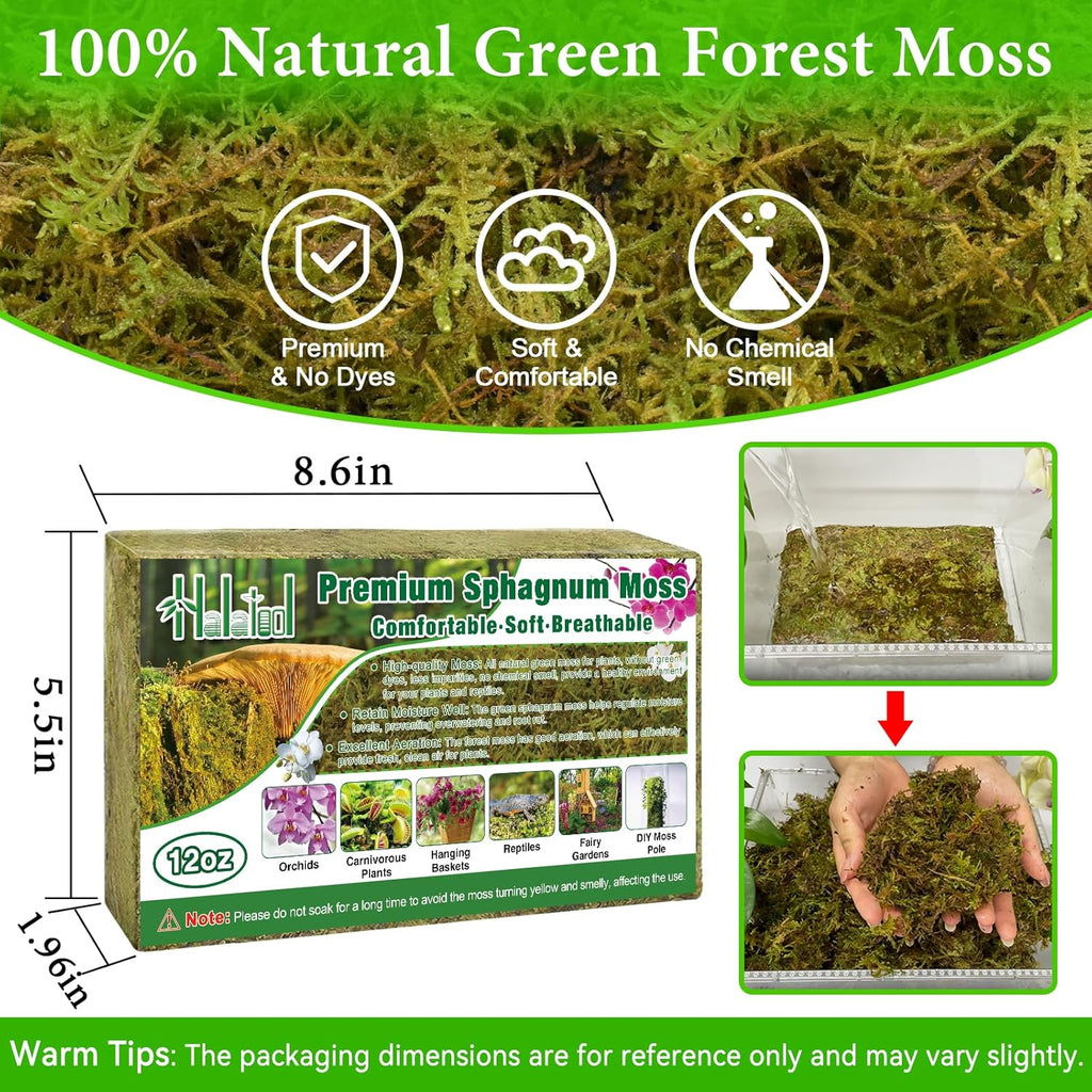 Halatool 12OZ Premium Sphagnum Moss for Plants, 18QT Green Moss for Plants Indoor Potted Orchid Moss for Repotting Succulent Carnivorous Terrarium Gardening Reptiles