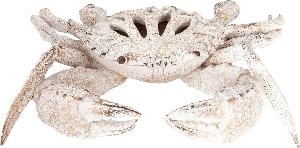 White Coral Crab Statue – Coastal Coral Reef Ocean Decor for Beach House | Polystone Nautical Figurine for Shelf, Tabletop, or Mantel Display (11” x 10”) by Corner Merchant