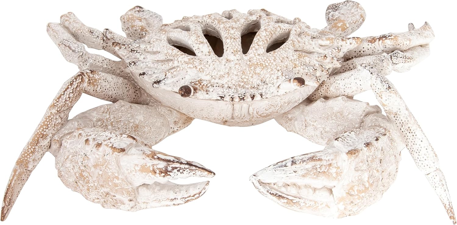White Coral Crab Statue – Coastal Coral Reef Ocean Decor for Beach House | Polystone Nautical Figurine for Shelf, Tabletop, or Mantel Display (11” x 10”) by Corner Merchant