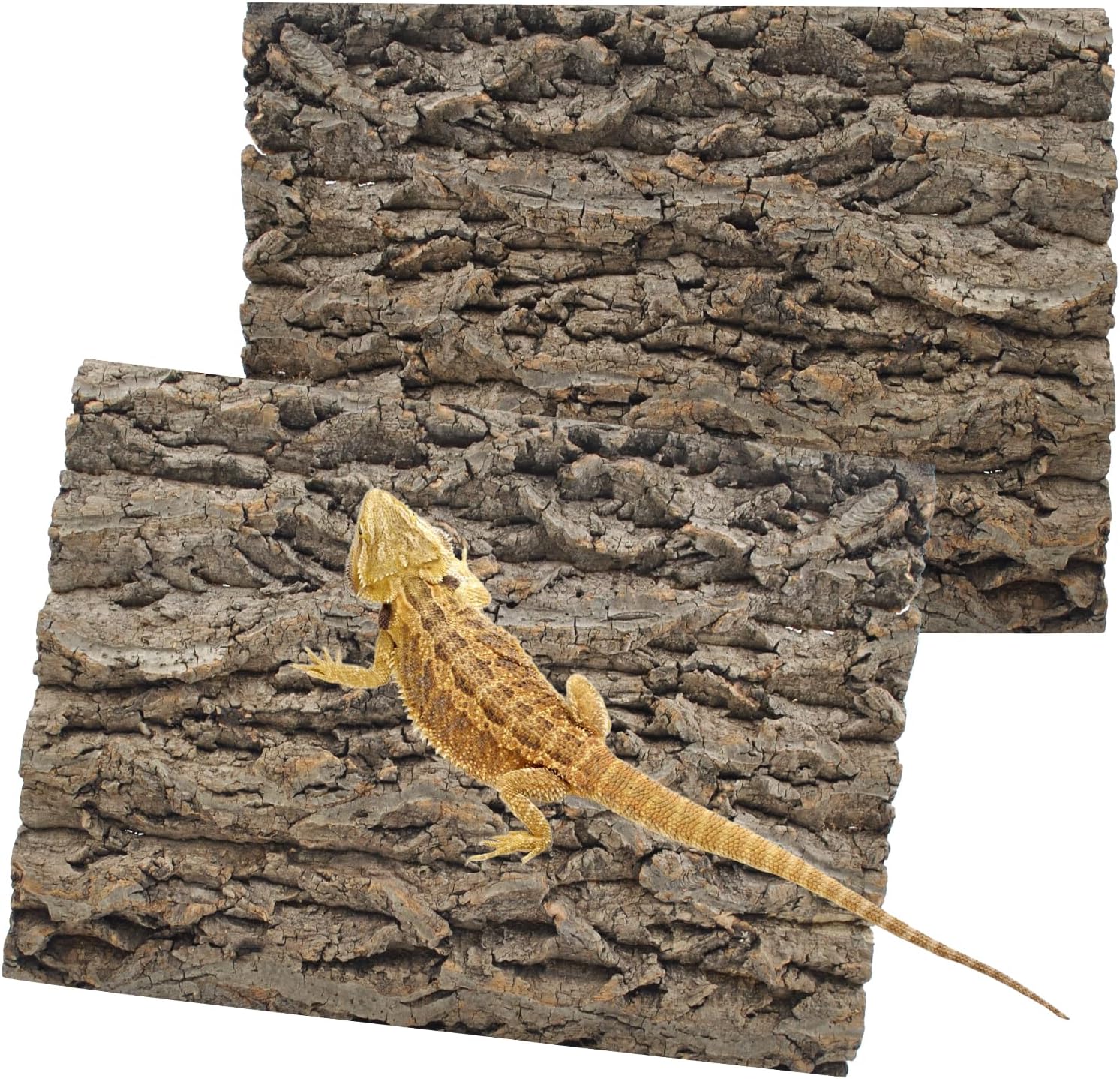 PINVNBY 2PCS Reptile Background for Terrarium,15.74 x 11.81in Natural Cork Bark Bearded Dragon Habitat Backdrop Climbing Wall Decor for Gecko Lizard Tortoise Frog Chameleon