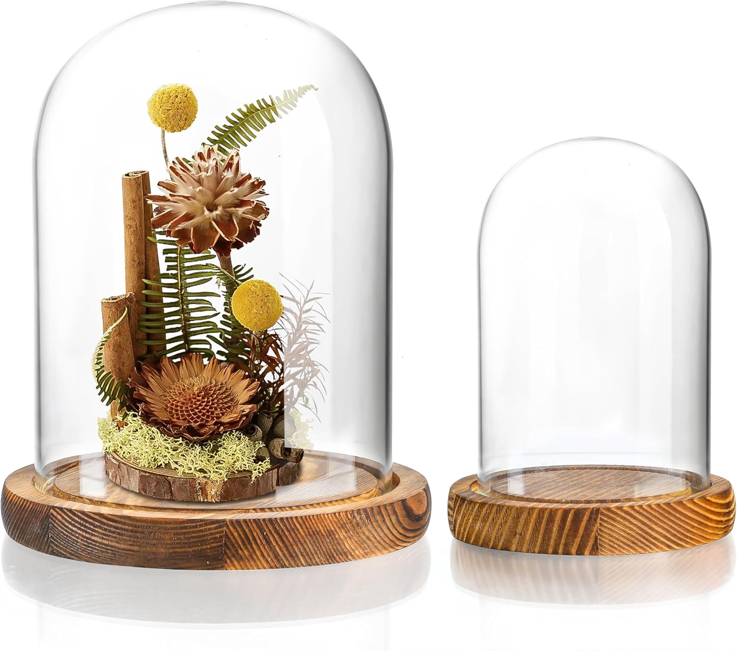 ZEERSHEE 2pcs Glass Display Dome Cloche with Wooden Base for Home Wedding Party Decor (3.9 x 5.1in/5.7 x 6.9in)