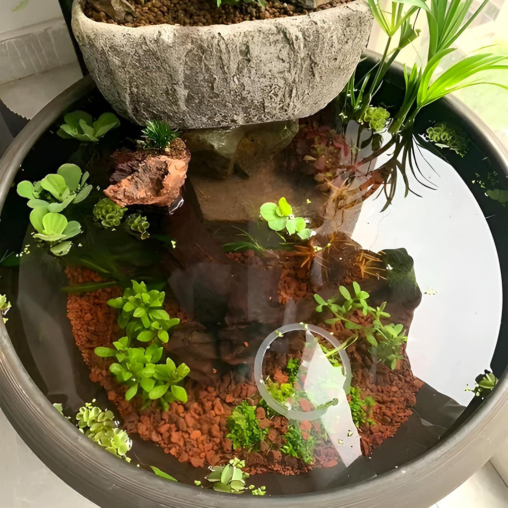 45Lb Horticultural Lava Rock - Succulent Soil Amendment, Decorative Cactus Soil Potting Mix, Volcanic Rock for Aquarium, Fairy Gardening Top Dressing, Plant Drainage