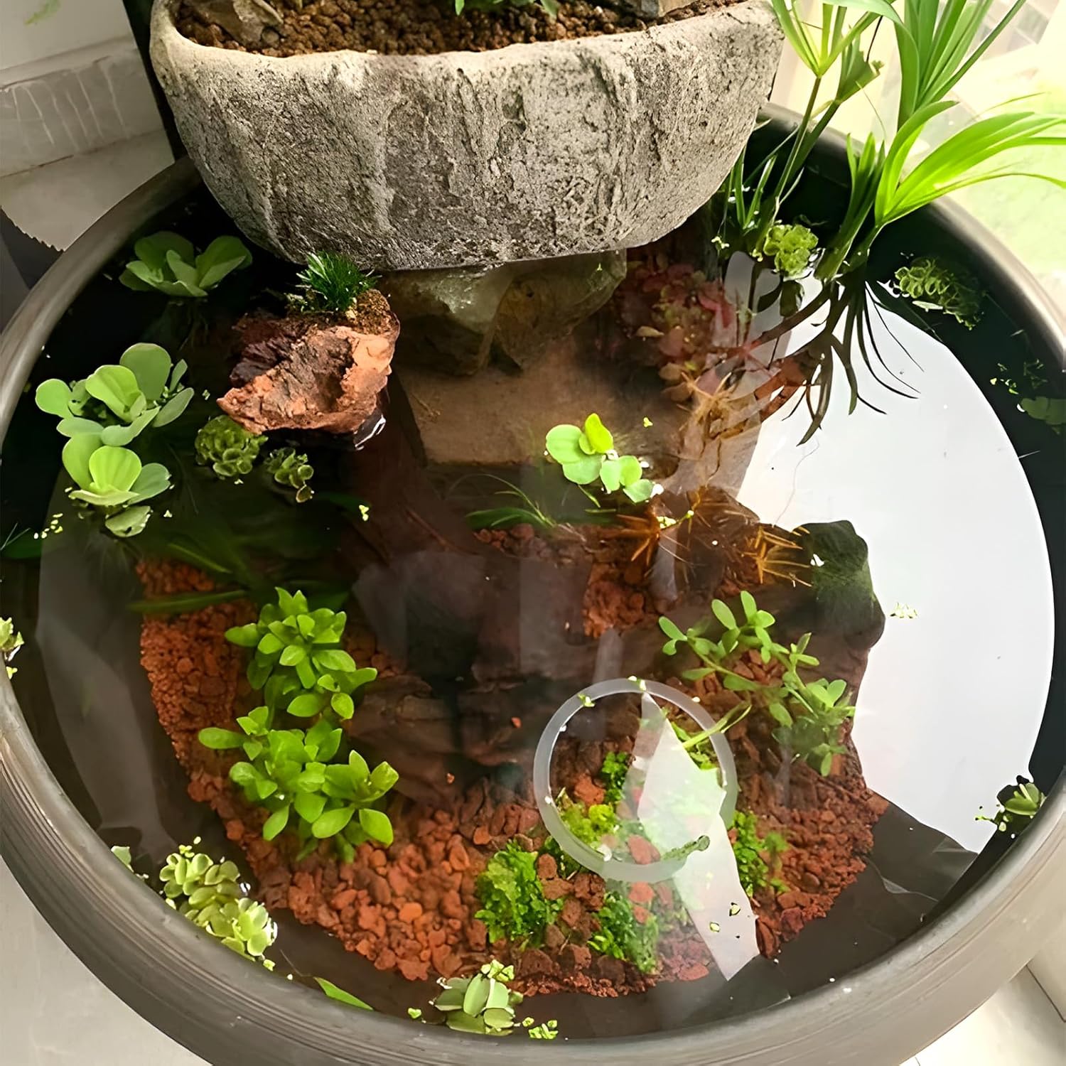 45Lb Horticultural Lava Rock - Succulent Soil Amendment, Decorative Cactus Soil Potting Mix, Volcanic Rock for Aquarium, Fairy Gardening Top Dressing, Plant Drainage