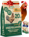 Hatortempt Dried Mealworm Bird Food - 20 Lb Bulk Pack - High Protein Poultry & Chicken Feed - Duck Food & Wild Bird Feed & Quail Treats