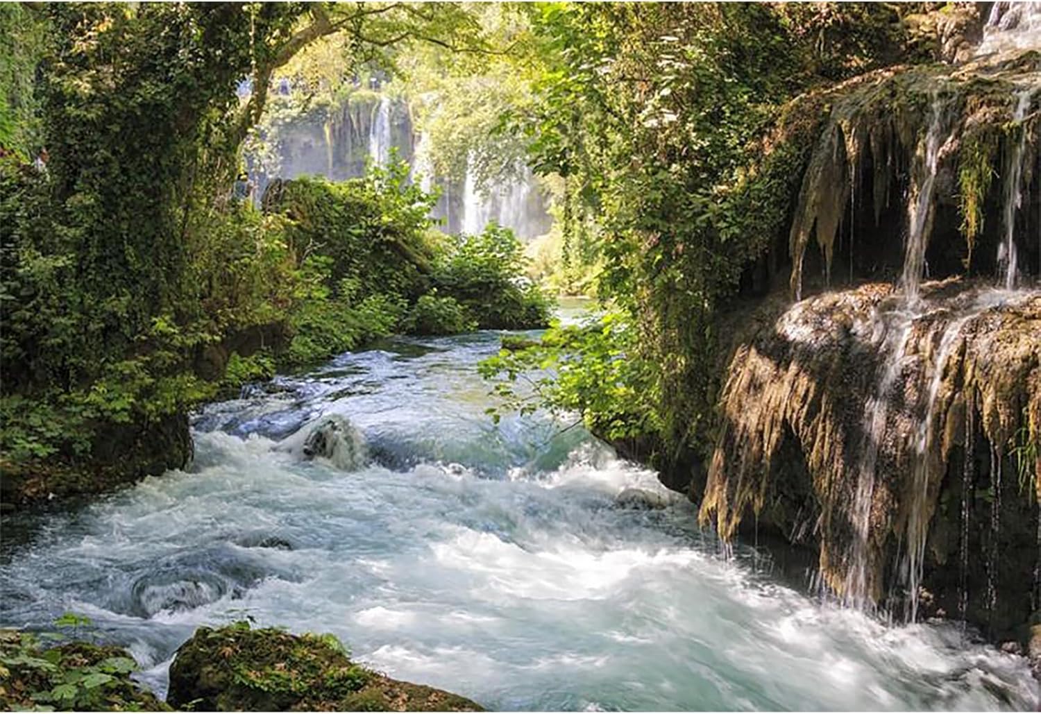 Baocicco 12x8ft Vinyl Green Forest Backdrops for Photography Background Mountain and Water Landscape Beautiful Waterfall and River Ancient Tree Outdoor Explore Holiday Backdrop Photo Studio