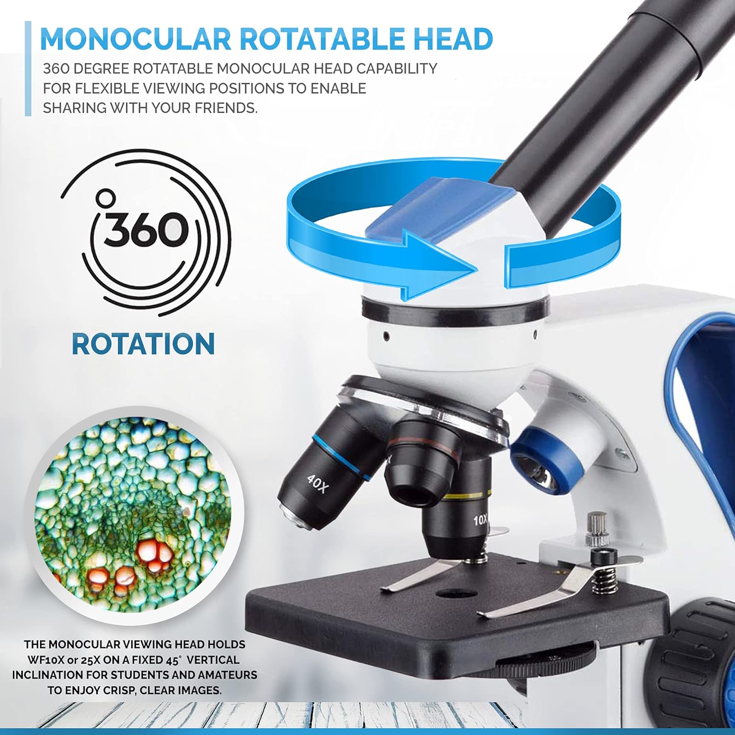 AmScope M162C-2L-WM-SP14-50P100S 40X-1000X Dual Light Glass Lens Metal Frame Student Microscope + Slides