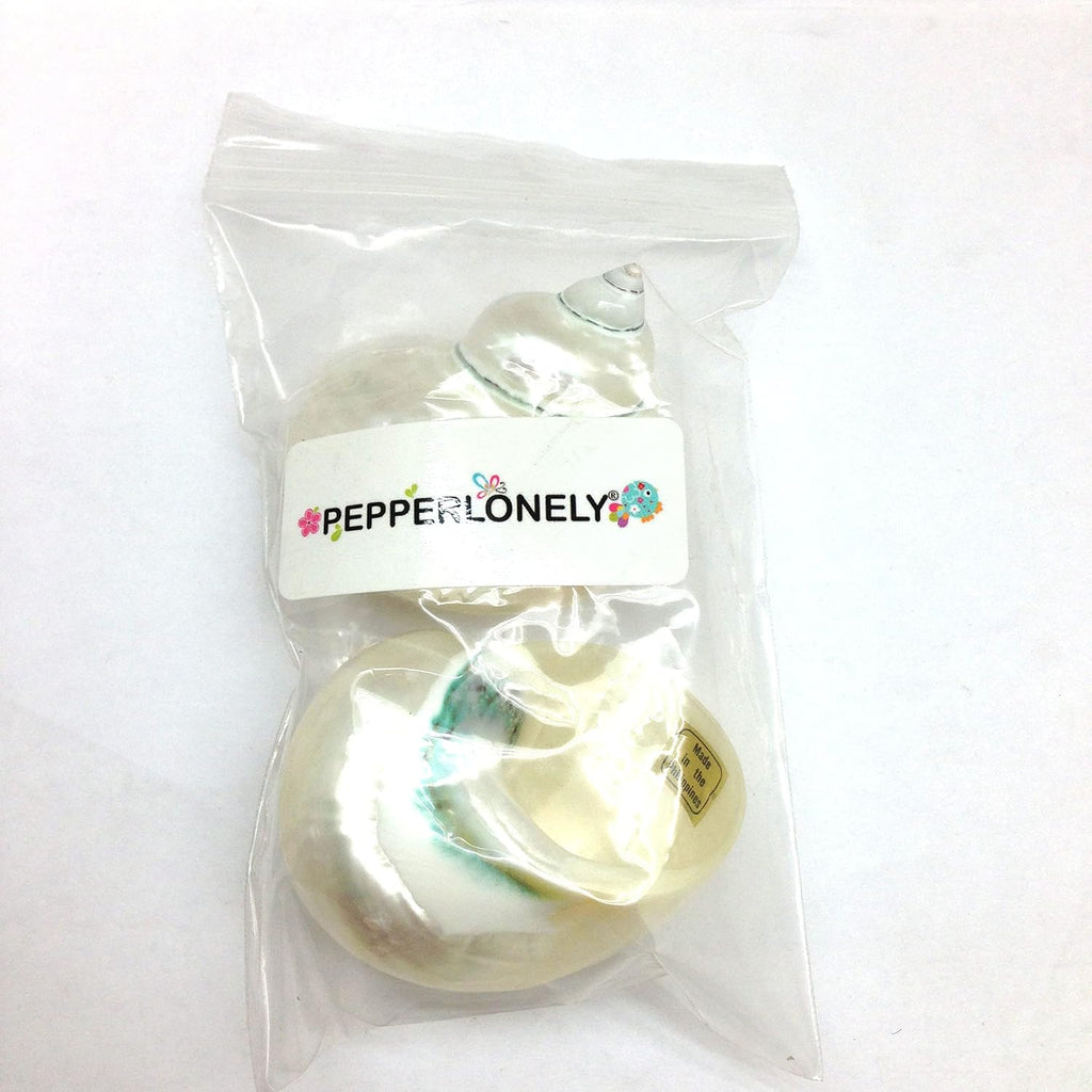 PEPPERLONELY 2 PC White Large Pearlized Silver Mouth Turbo, Hermit Crab Shells, 3 Inch ~ 3-1/2 Inch