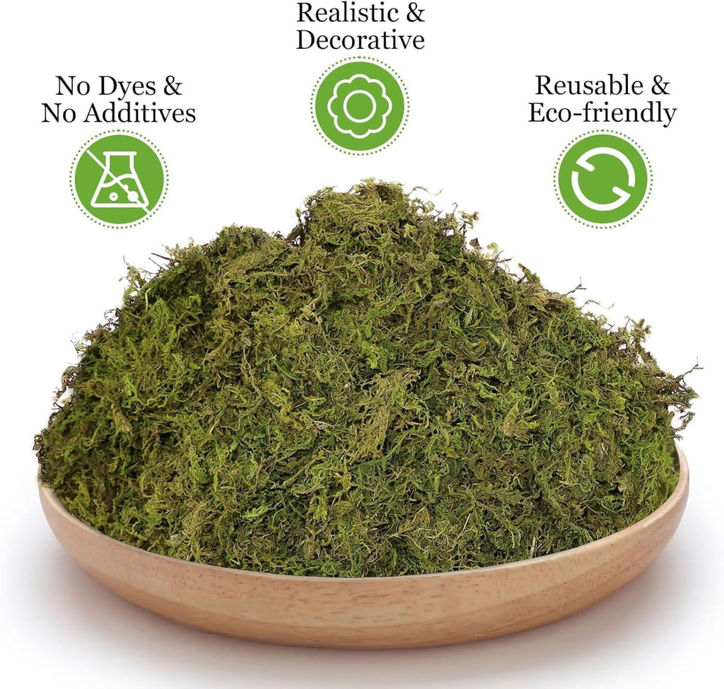 Riare 2.6LBS Artificial Fake Moss for Fake Plants Indoor- Premium Faux Craft Moss for Potted Plant, Fresh Forest Green for Hamsters Micro-Landscape Terrariums Centerpieces Decor