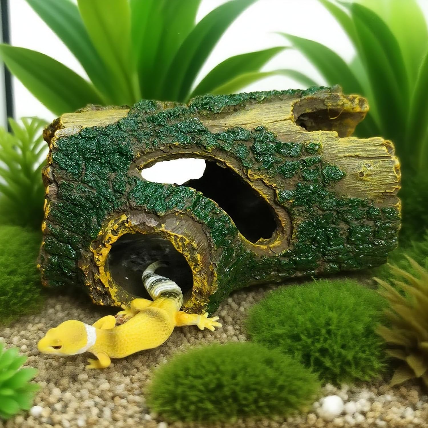 Resin Hollow Tree Trunk Aquarium Cave - Betta Fish Hideout & Shrimp Shelter for Fish Tanks, Terrariums (5.5" x 3.7" x 2.6", No Assembly)