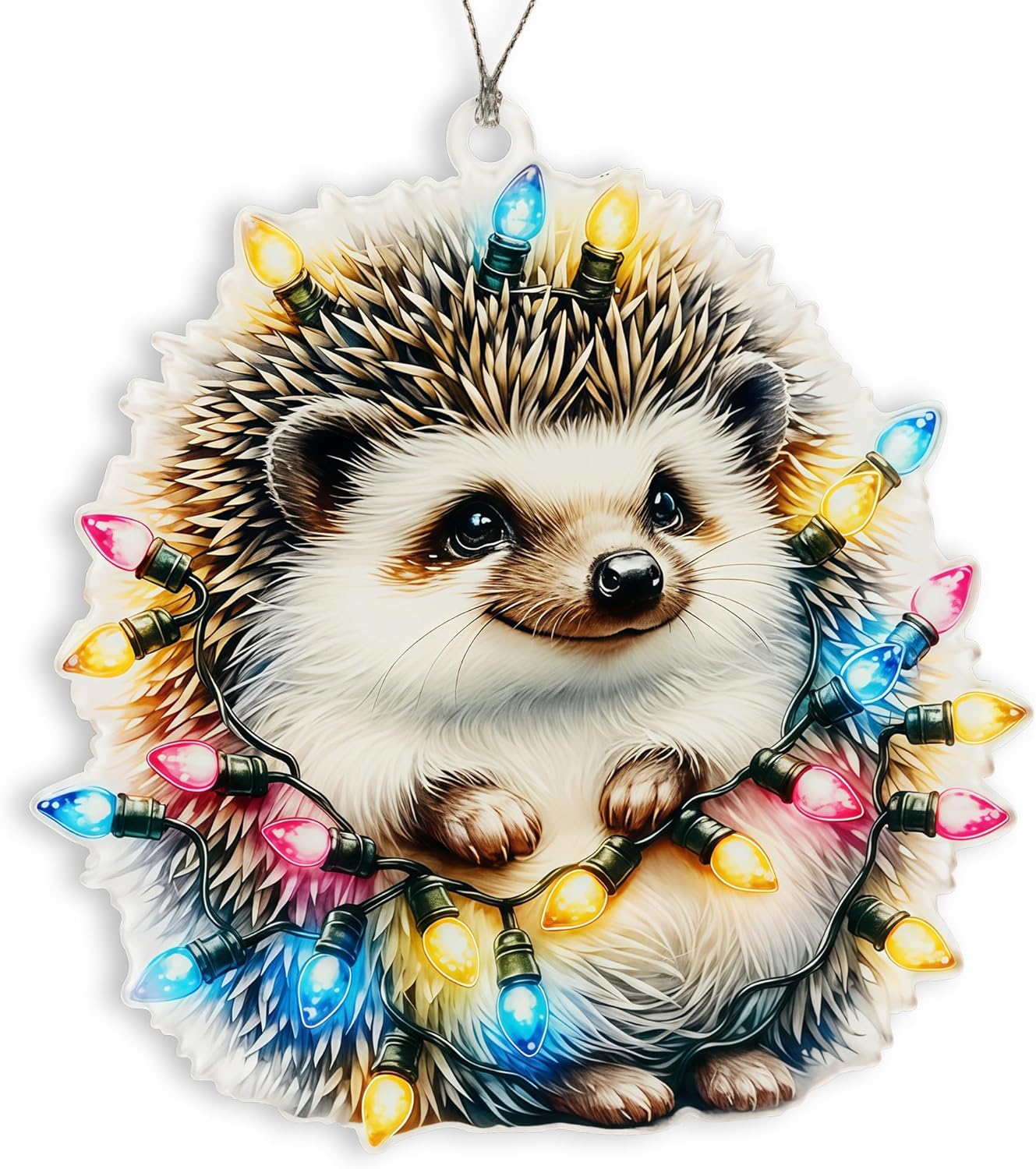 Hedgehog Christmas Ornaments 2025, Cute Funny Woodland Animal Decorations, Cute Hedgehog Ornament for Tree, Hedgehog Gifts for Women Men Kids, Unique Holiday Tree Keepsake Ornament Present.