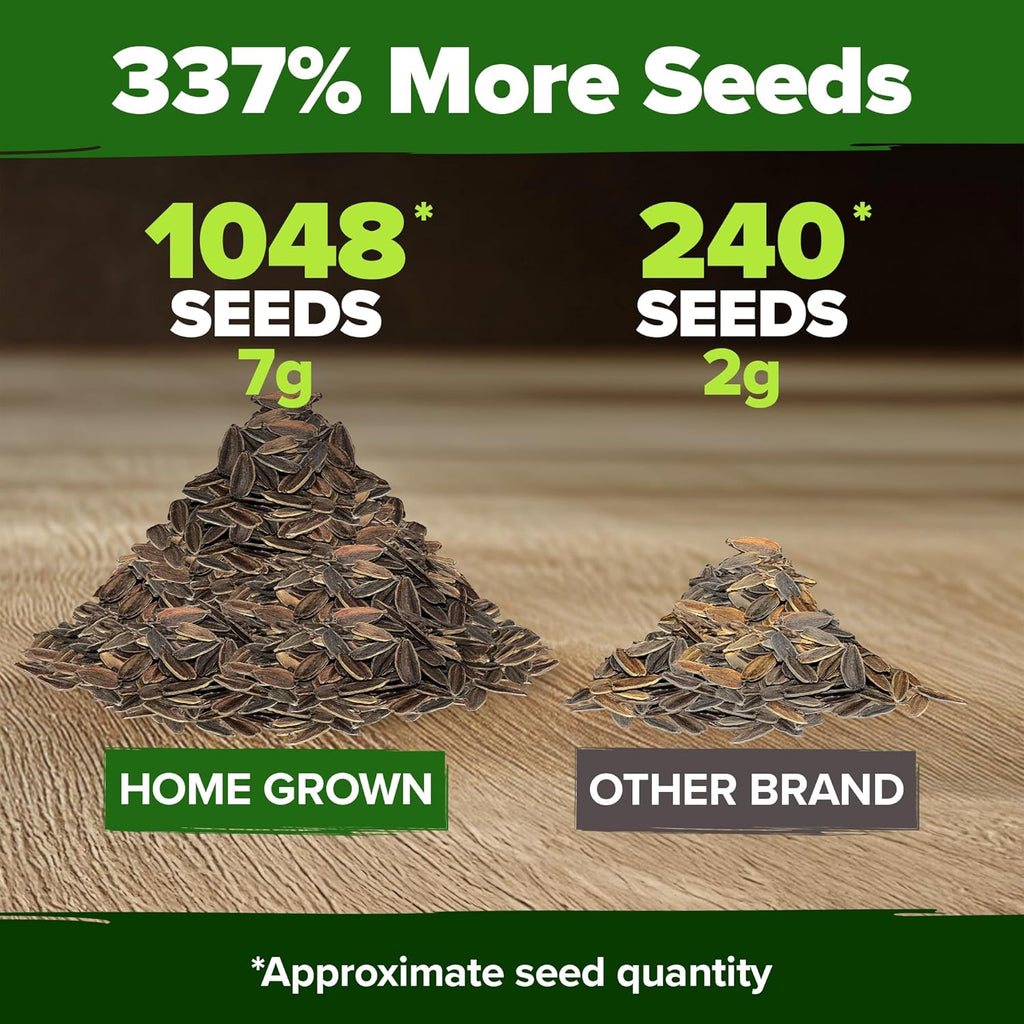 HOME GROWN USA Premium Zinnia Dahlia Seeds Pack for 2026,1048 Non-GMO Flower Seeds, Vibrant Zinnia Elegans for Planting Pollinator Gardens, Borders & Containers, Easy-to-Grow Outdoor Blooms