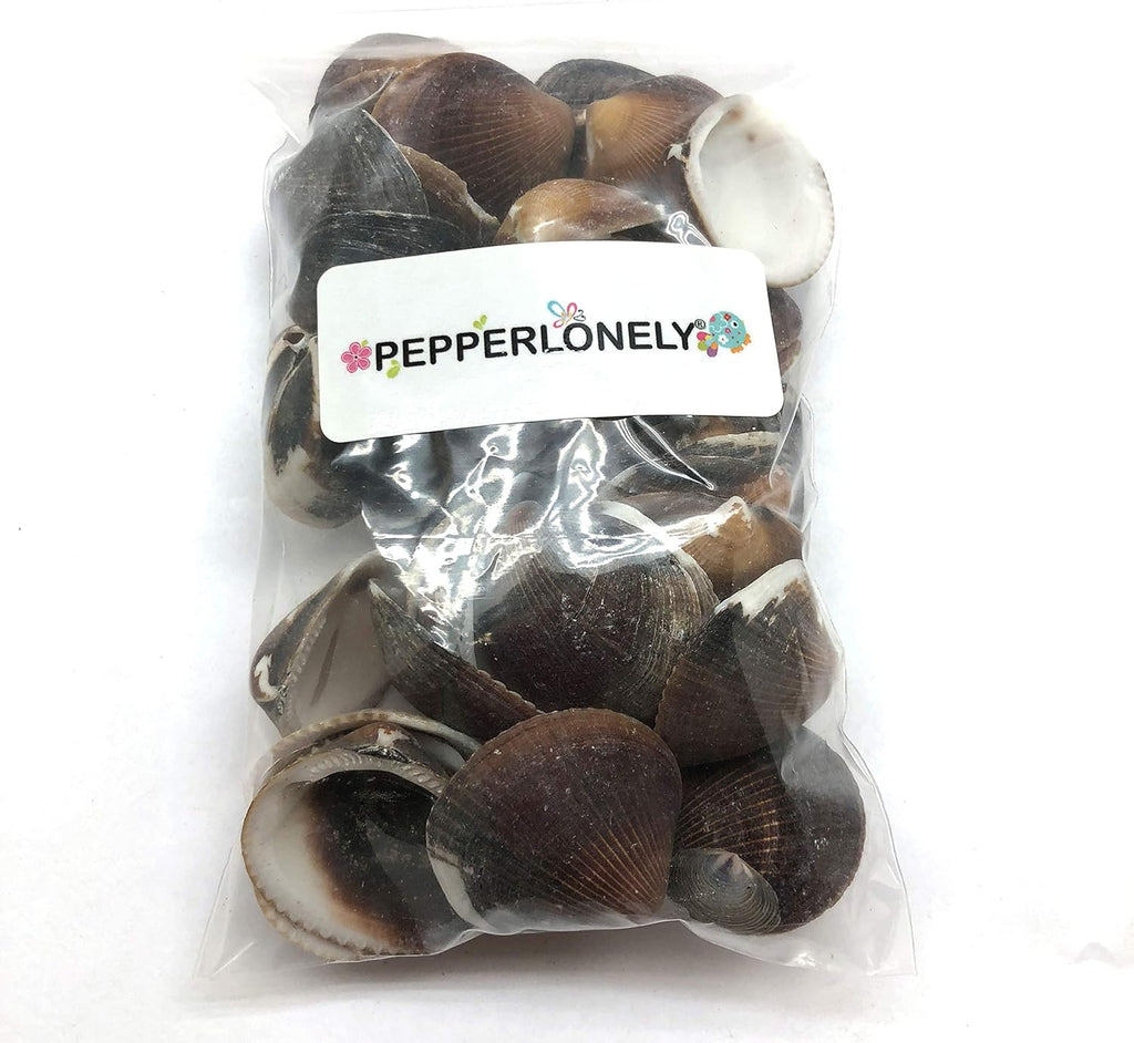 PEPPERLONELY Brown Cockle Sea Shells, 8 OZ Apprx. 50+ PC Shells, 1 Inch ~ 1-1/2 Inch