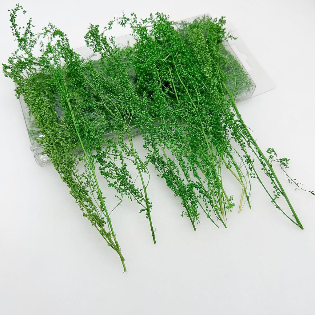 Woohome Static Grass Tuft Model Grass Tufts Railway Artificial Grass Bushy Tuft Flower Cluster Vegetation Groups for Model Train Landscape Railroad Scenery, Grass Green