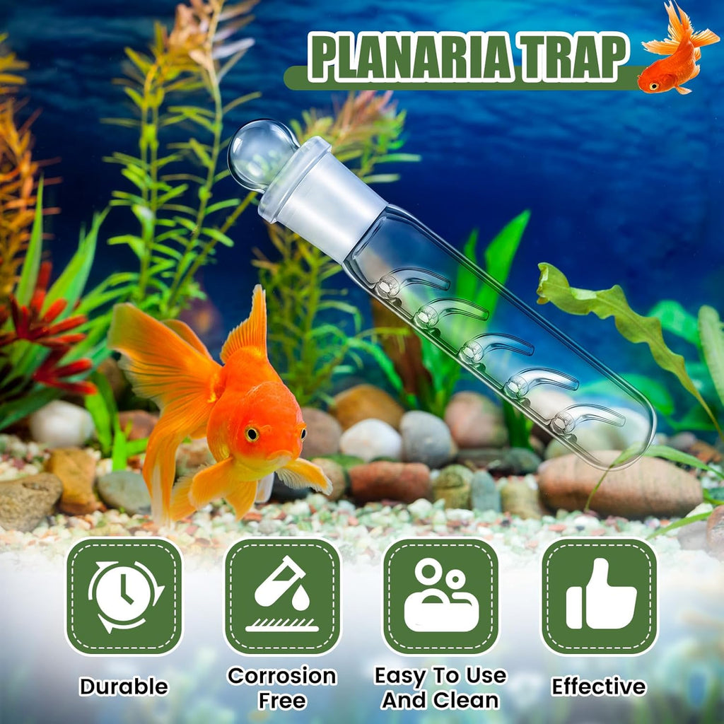 Qualirey 4 Pack Planaria Catch Trap for Aquarium Snail Leech Clear Glass Planaria Trap for Dwarf Shrimp Red Cherry Shrimp Tank(5 Holes)